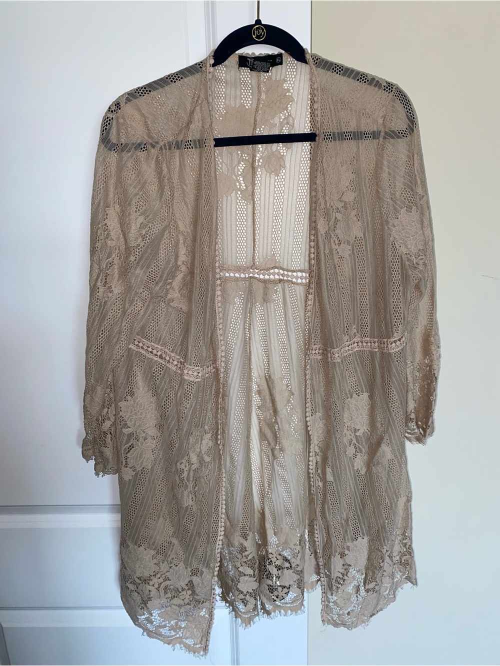 Miss Chievous Sheer Lace Robe in Beige Taupe